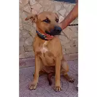 QUARTU SANT'ELENA - 380260004626158