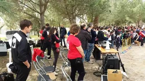 Event FESTA DEGLI ALBERI MANIFESTAZIONE SERRENTI