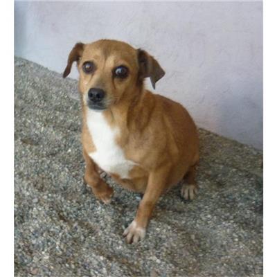 QUARTU SANT'ELENA - 985100009504789